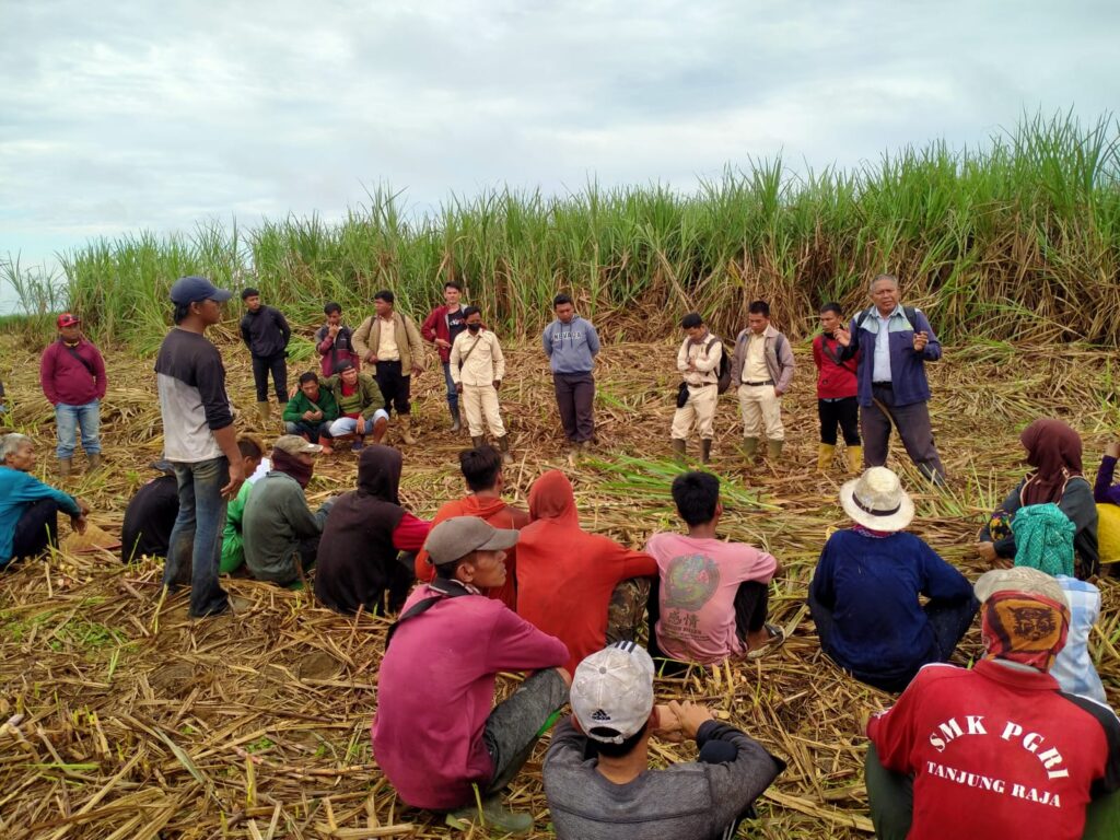 WhatsApp Image 2024-05-03 at 07.06.23 (1)